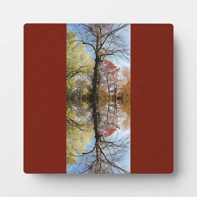 Tree-Foto gespiegelt Fotoplatte (Vorderseite)