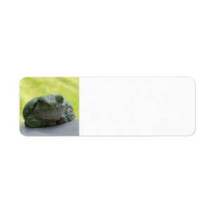 Tree Frog Adressetiketten
