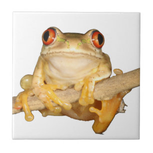 Tree Frog Fliese