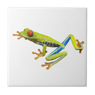 Tree Frog Fliese