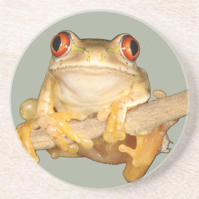 Tree Frog Getränkeuntersetzer (Vorne)
