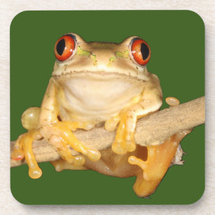 Tree Frog Getränkeuntersetzer