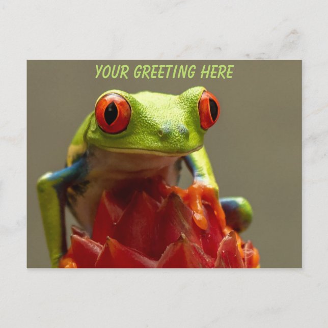 Tree Frog Personalisiert Postkarte (Vorderseite)