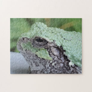 Tree Frog Puzzle