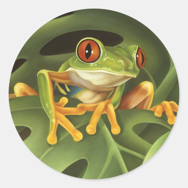 Tree Frog Sticker (Vorderseite)