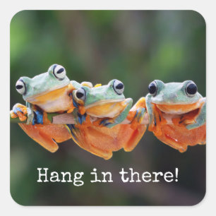 Tree Frogs Trio - Hang in There Quadratischer Aufkleber