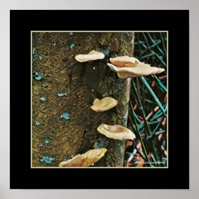 Tree Fungus Poster (Vorne)