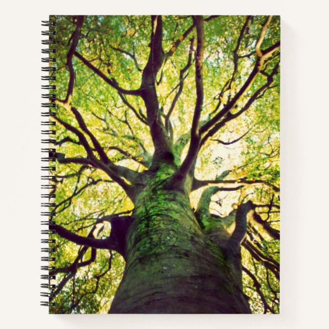 Tree Hugging Notizbuch (Vorderseite)