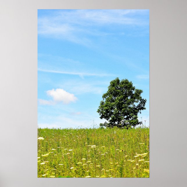 Tree in a Field Poster (Vorne)
