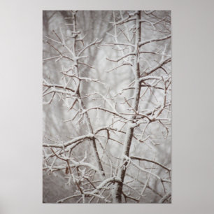 Tree in a Snowstorm Poster