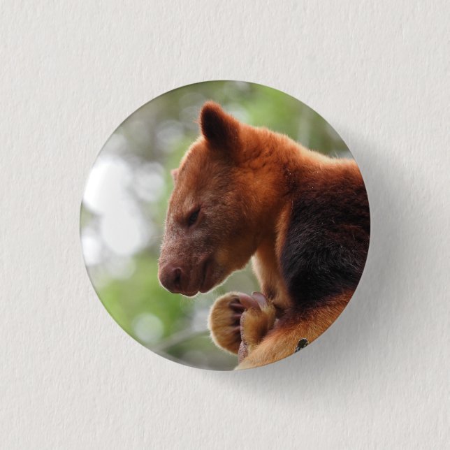 Tree Kangaroo Abzeichen Button (Vorderseite)