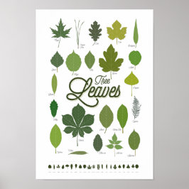 TREE LEAVES Plakat