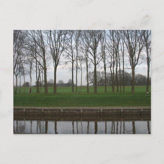 Tree Line Canal Postcard Postkarte (Vorderseite)