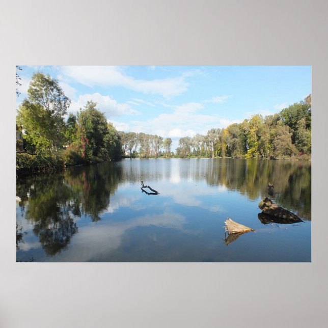 Tree Lined Lake Poster (Vorne)