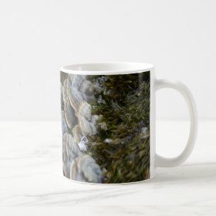Tree Mushrooms Foto Tasse