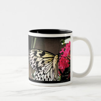Tree Nymph Butterfly Tasse