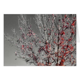 Tree of hope card