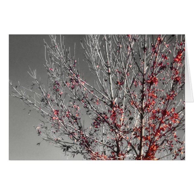 Tree of hope card (Vorderseite (Horizontal))