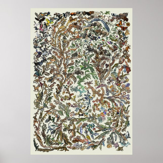 Tree of Life - Evolution Poster - Colour (Vorne)
