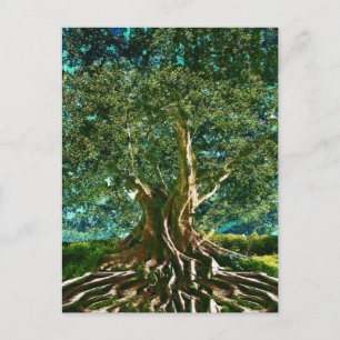 Tree of Life Green Postkarte