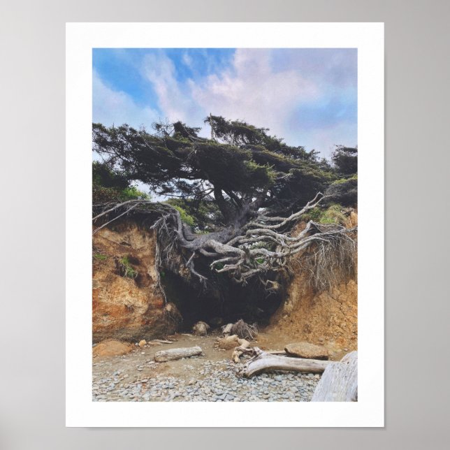 Tree of Life Poster (Vorne)