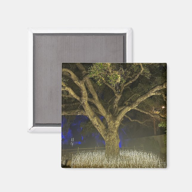 Tree of Lights Magnet (Vorderseite/Rückseite)
