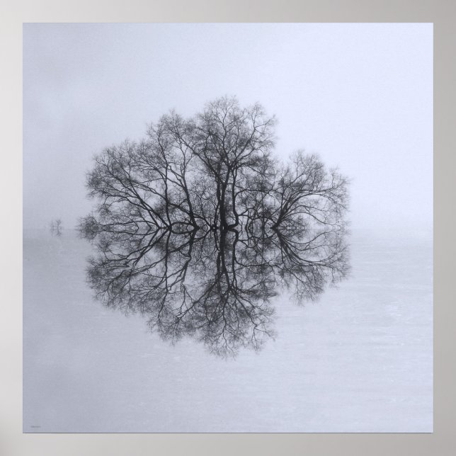 Tree of Reflection Art Poster Print (Vorne)
