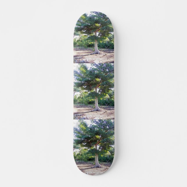 Tree of Wisdom-skateboard Skateboard (Vorne)