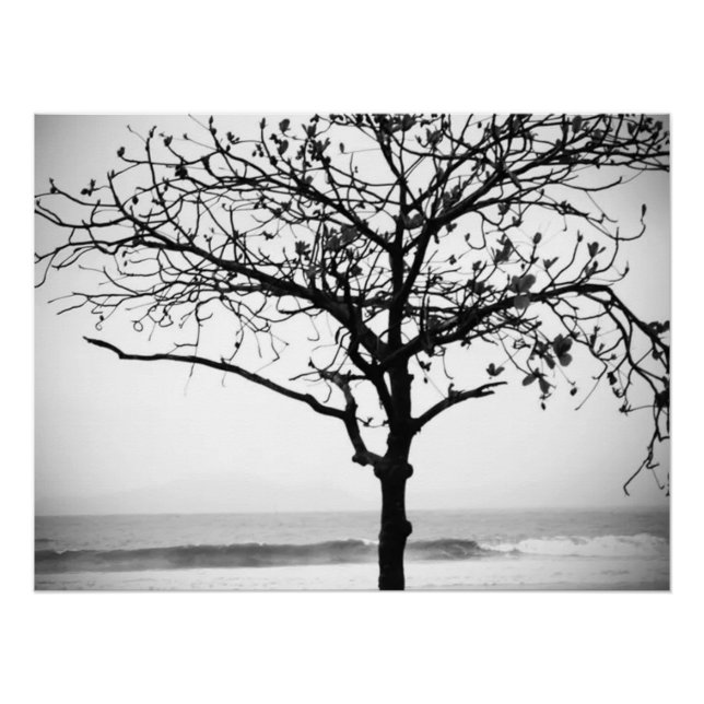 Tree on Beach, Santos, Brasilien Poster (Vorderseite)