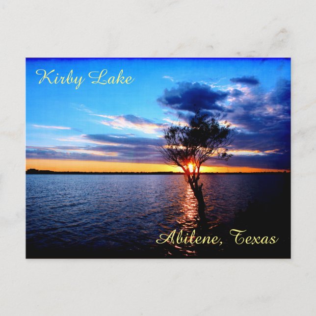 Tree On Kirby Lake Postkarte (Vorderseite)