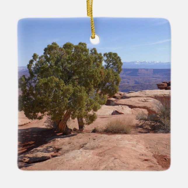 Tree Out of Red Rocks II at Canyonlands Keramikornament (Vorderseite)
