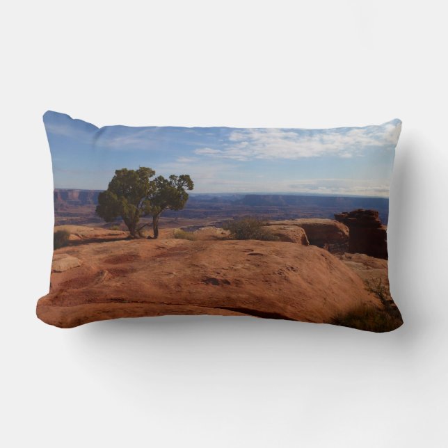 Tree Out of Red Rocks im Canyonlands National Park Lendenkissen (Vorderseite)