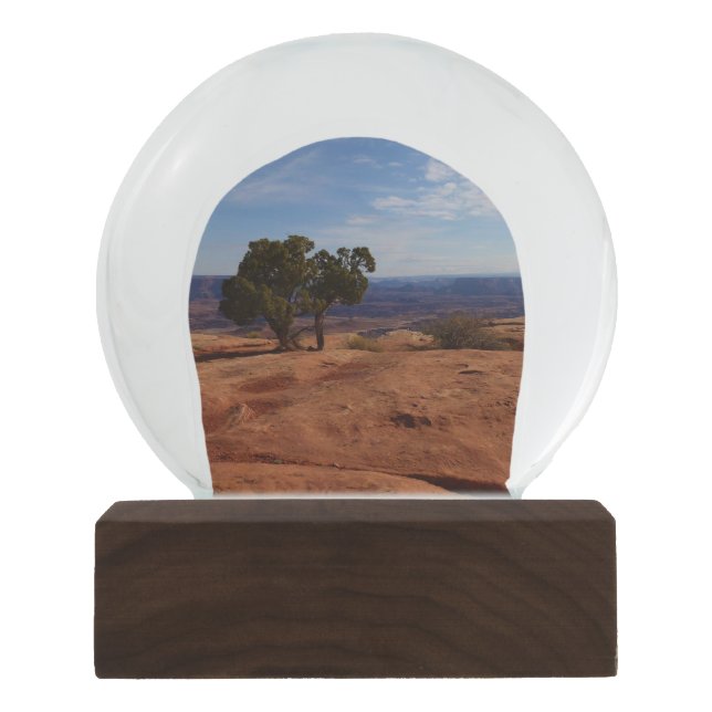Tree Out of Red Rocks im Canyonlands National Park Schneekugel (Vorderseite)