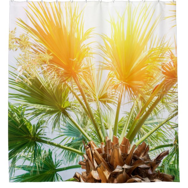 Tree palm bright sun summer background. tropical p duschvorhang (Vorderseite)