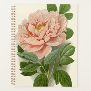 Tree Peony - Elegantes Vintages botanisches Design Planer