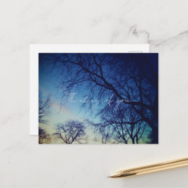 Tree Photography Postkarte