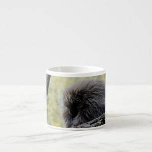 Tree Porcupine Espressotasse