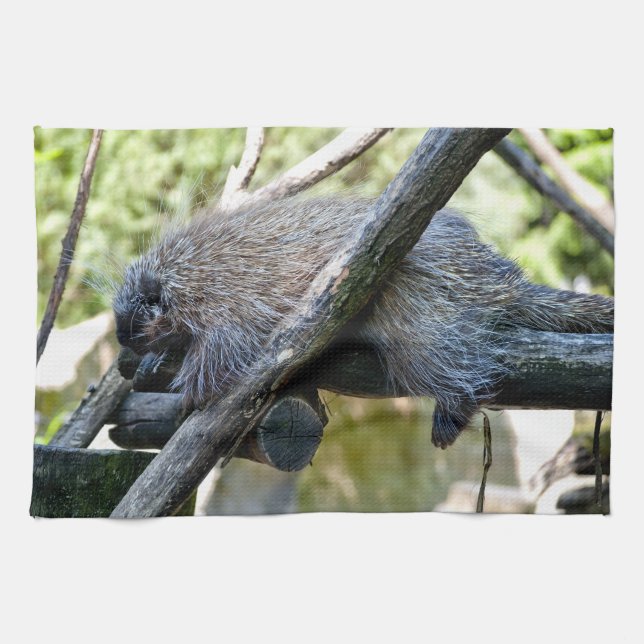 Tree Porcupine Handtuch (Horizontal)