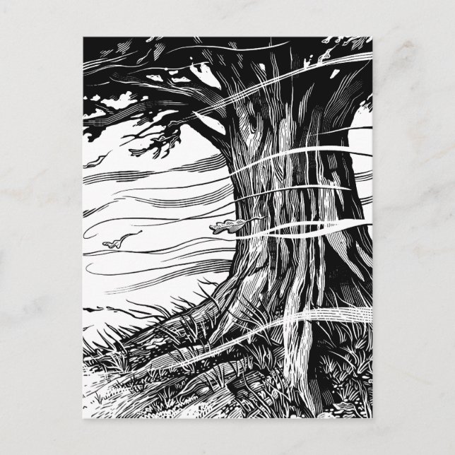 Tree Postcard Postkarte (Vorderseite)