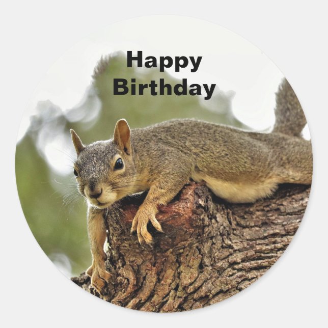 Tree Reclining Eichhörnchen Geburtstag Runder Aufkleber (Vorderseite)