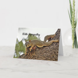 Tree Reclining Squirrel Beileid Karte
