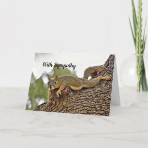 Tree Reclining Squirrel Beileid Karte
