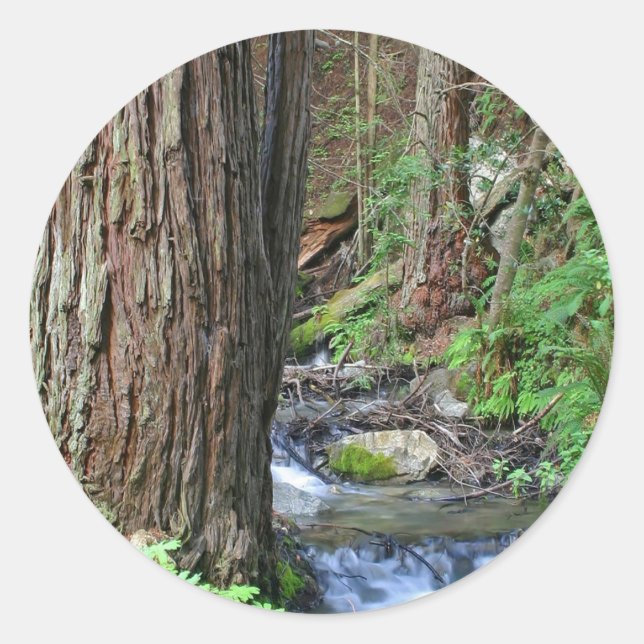 Tree Redwood Stream Runder Aufkleber (Vorderseite)