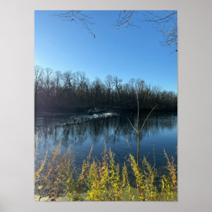 Tree Reflections Foto Poster