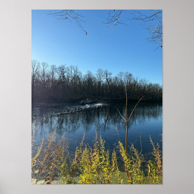 Tree Reflections Foto Poster (Vorne)