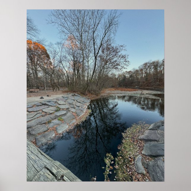 Tree Reflections Poster (Vorne)