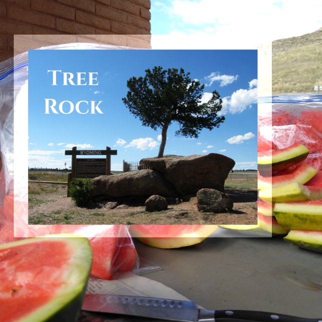 Tree Rock, Median of Interstate 80, Buford Wyoming Postkarte (Von Creator hochgeladen)