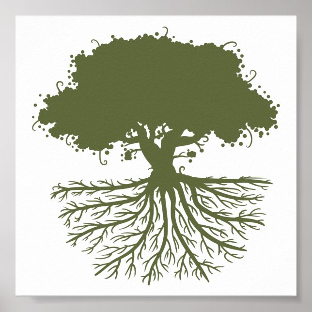 Tree Roots Poster (Vorne)