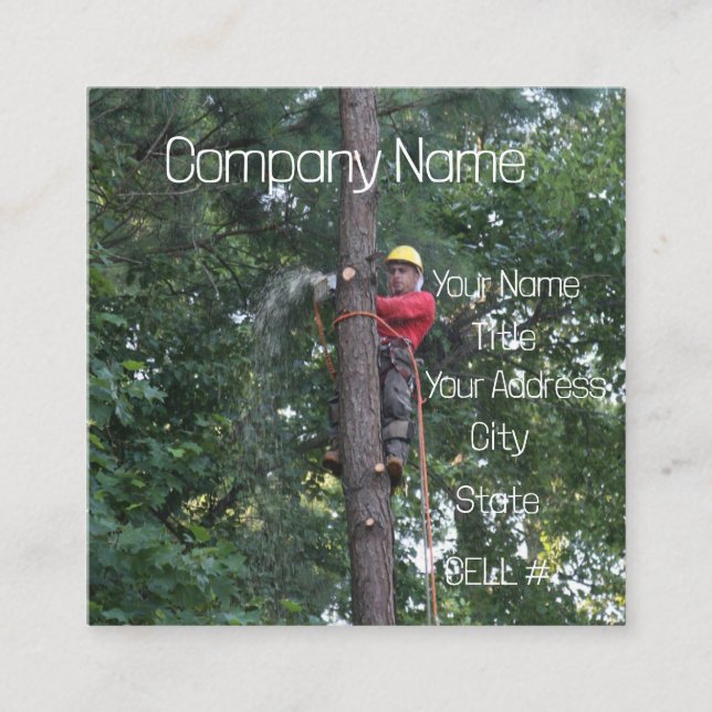 Tree Service Business Quadratische Visitenkarte (Vorderseite)