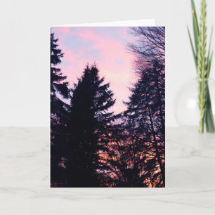 Tree Shadows Forest Hues Karte